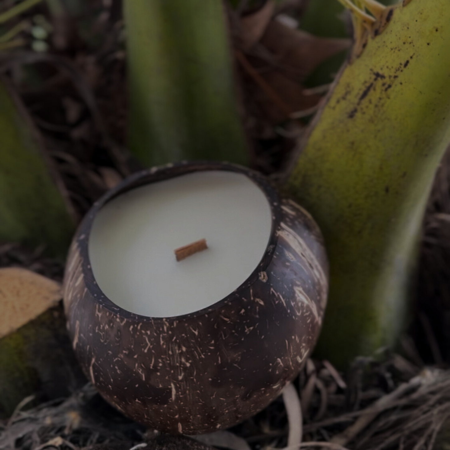 Coconut Shell Soy Candle – Natural Handmade Decor